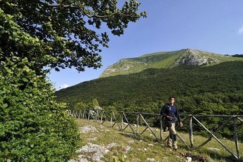 Appartamento Il Grillo Fossato di Vico Zimmer foto